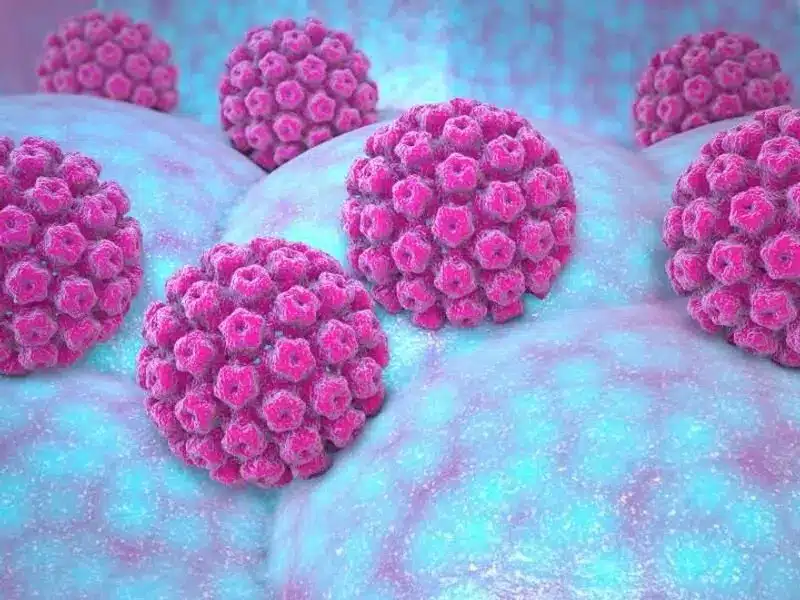 HPV Belirtileri