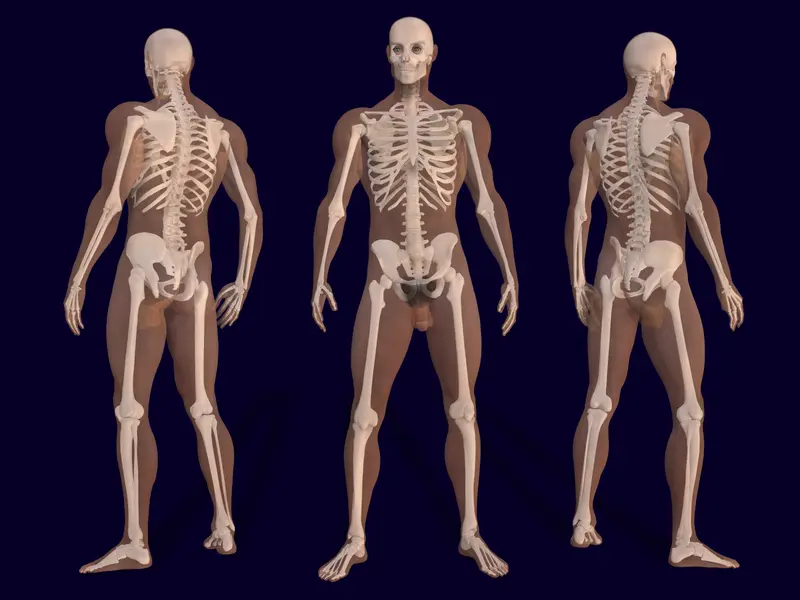Osteopenik Ne demek?