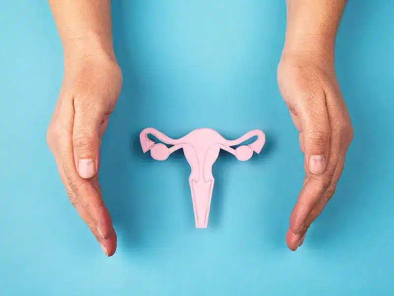 Genital Lezyon