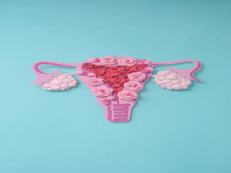 Orgazm Aşısı Ne Demek?