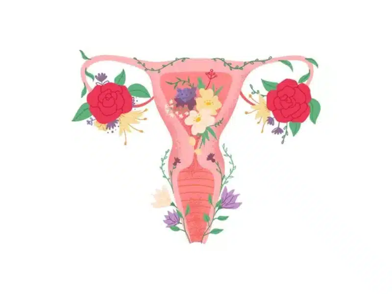 Mons Pubis Neresi?