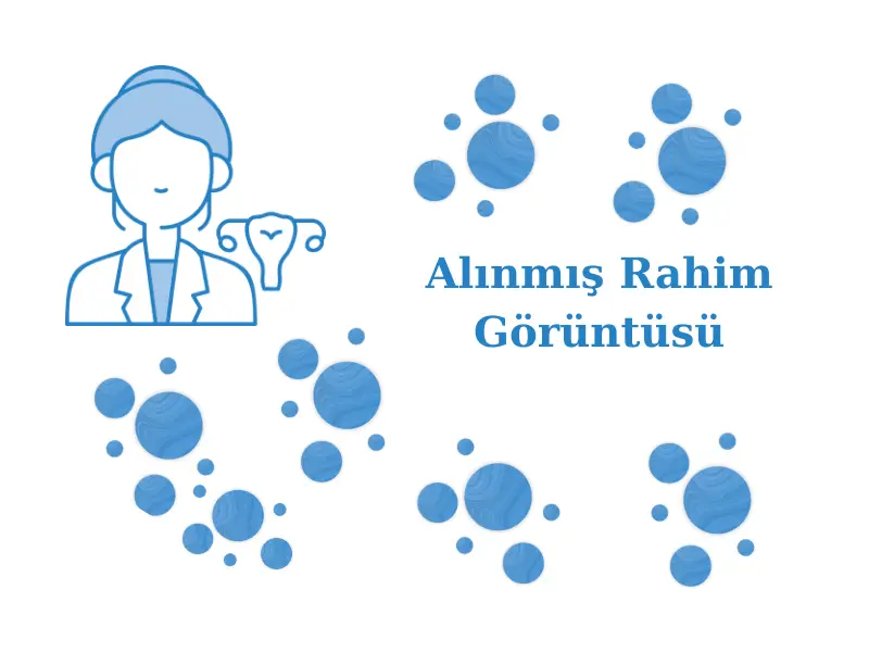 Alınmış Rahim Görüntüsü