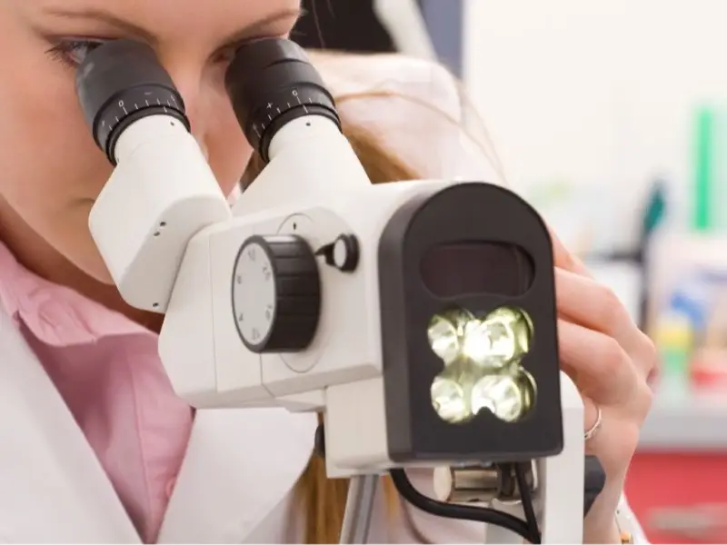 Colposcopy