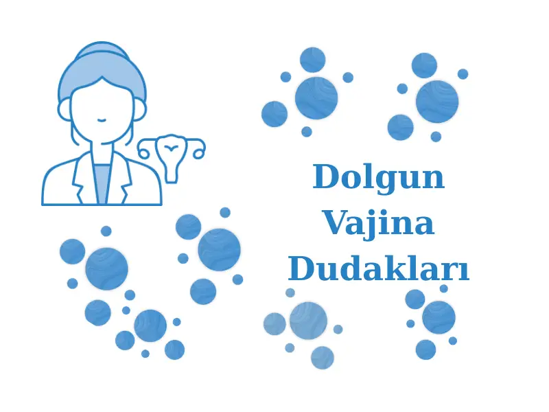 Dolgun Vajina Dudakları