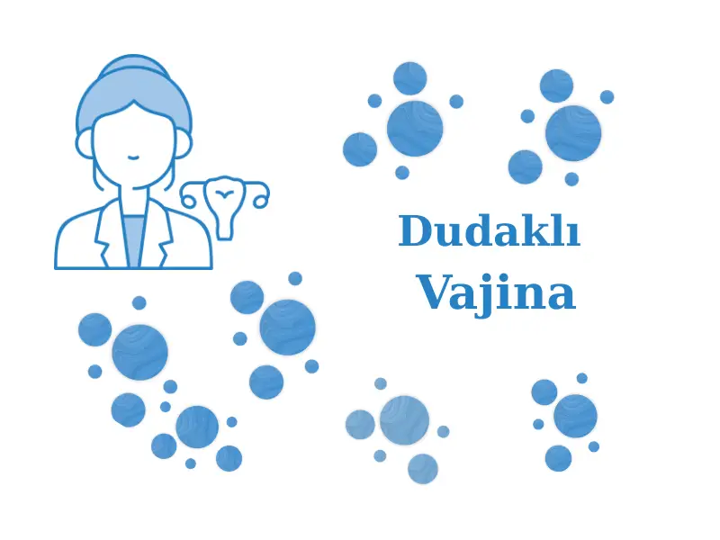 Dudaklı Vajina