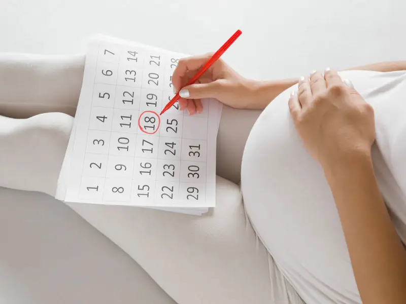 Pregnancy Calculation
