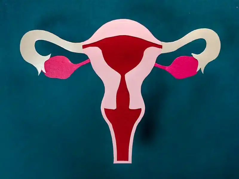 Genital Bölgede Siyah Kan Toplanması