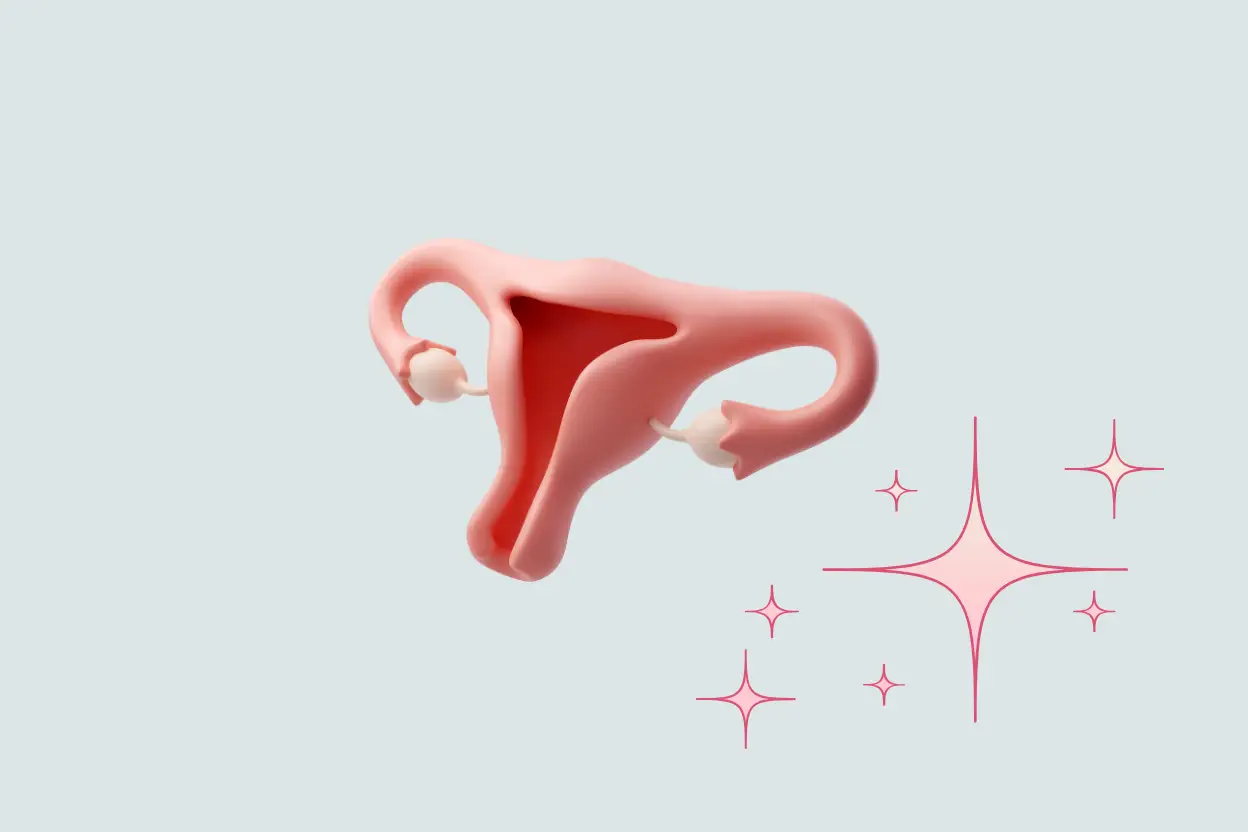 Genital Estetikte Kombine Ameliyatlar: Hangi İşlemler Birlikte Planlanabilir?