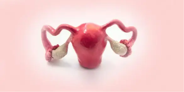Genital İltihap