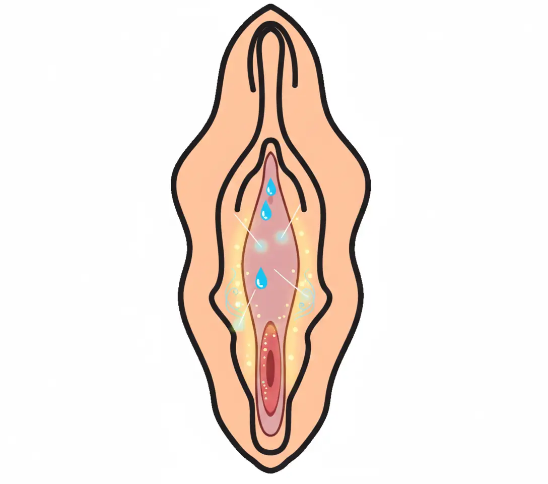 Genital Stem Cell Therapy