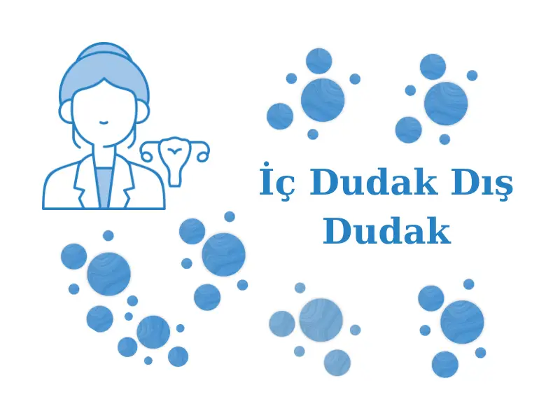 İç Dudak Dış Dudak