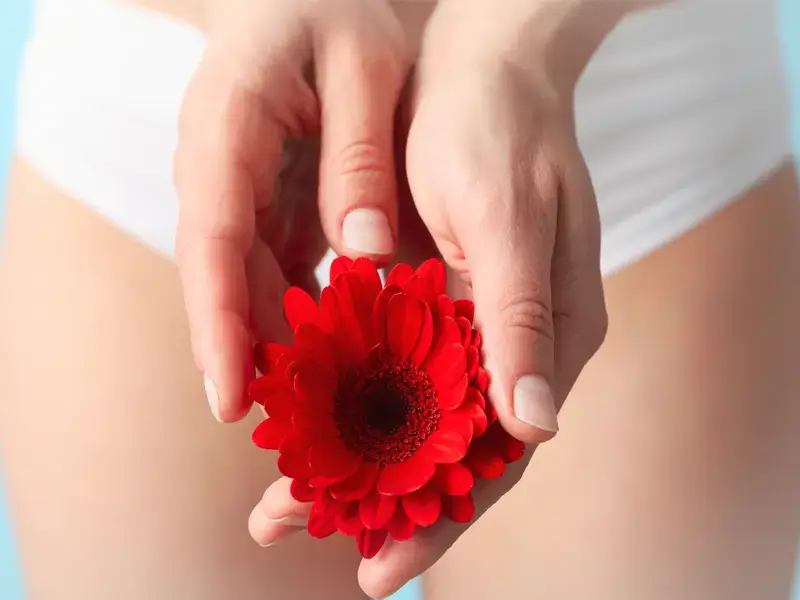 Kadın Genital Estetiği