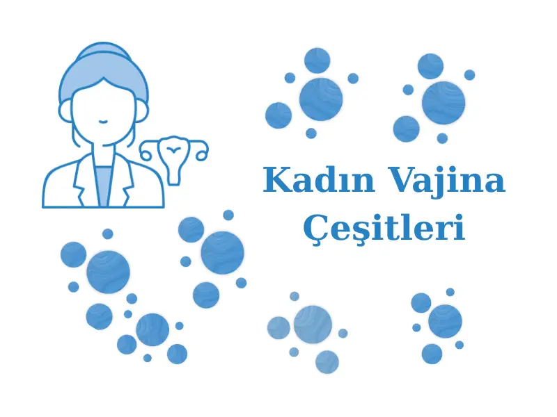 Kadın Vajina Çeşitleri