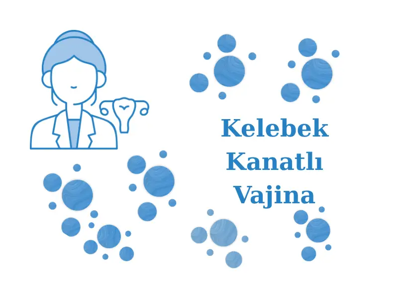 Kelebek Kanatlı Vajina