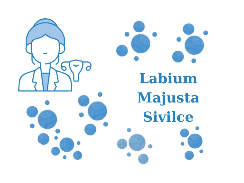 Labium Majusta Sivilce