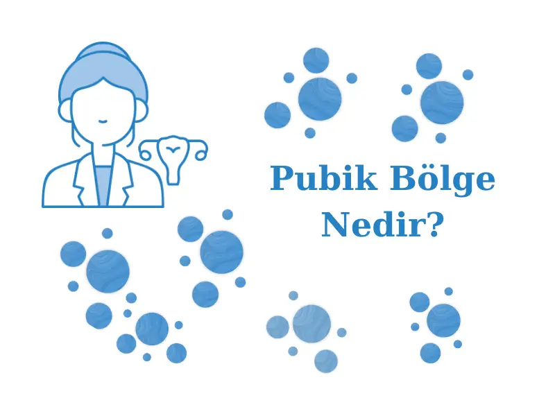 Pubik Bölge Nedir?