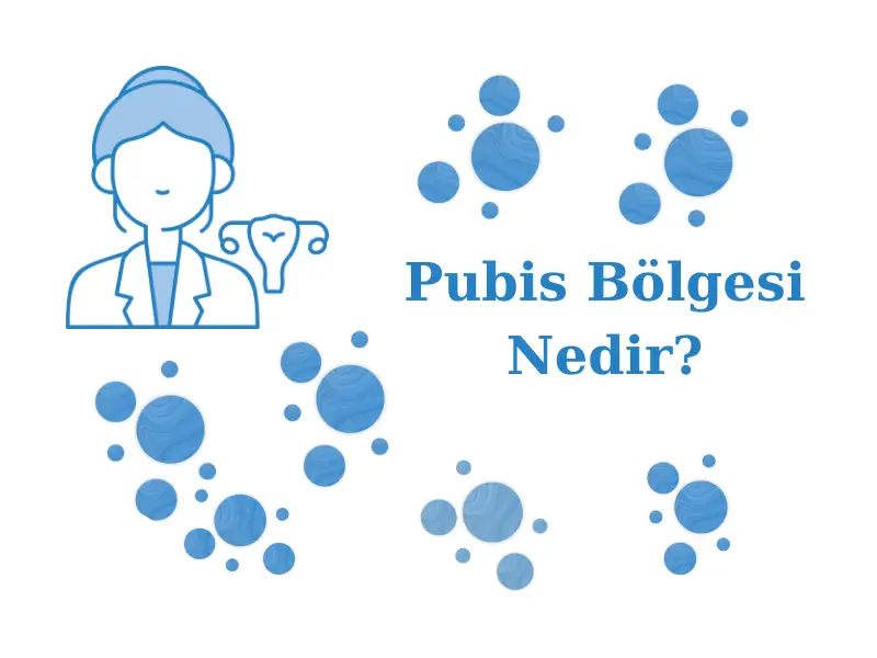 Pubis Bölgesi Nedir?