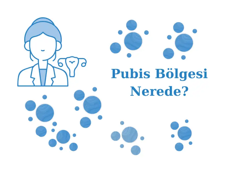 Pubis Bölgesi Nerede?