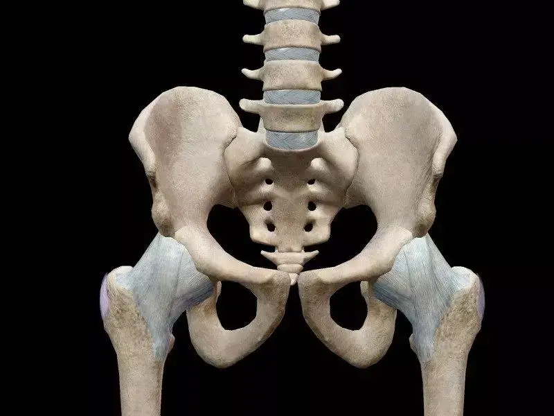 Venüs Tepesi Nedir?