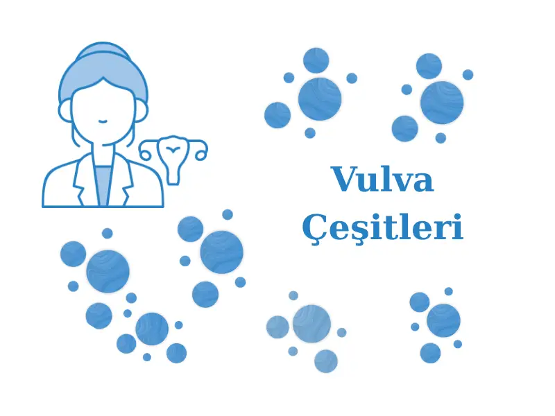 Vulva Çeşitleri