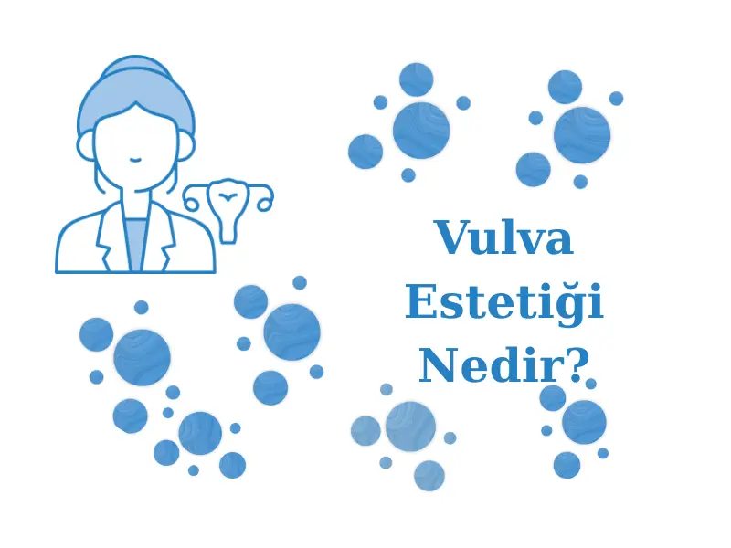 Vulva Estetiği Nedir?